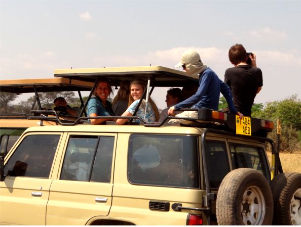 Auf Safari